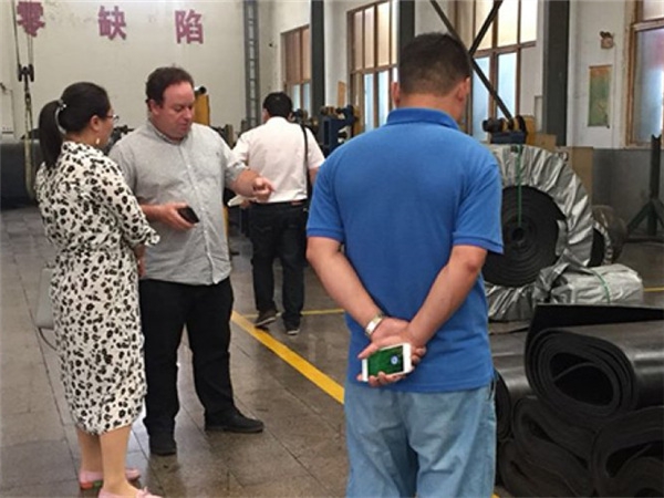 加拿大客户来厂参观水果视频污下载安卓版并洽谈合作事宜